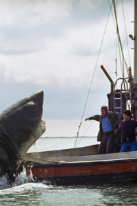 Jaws